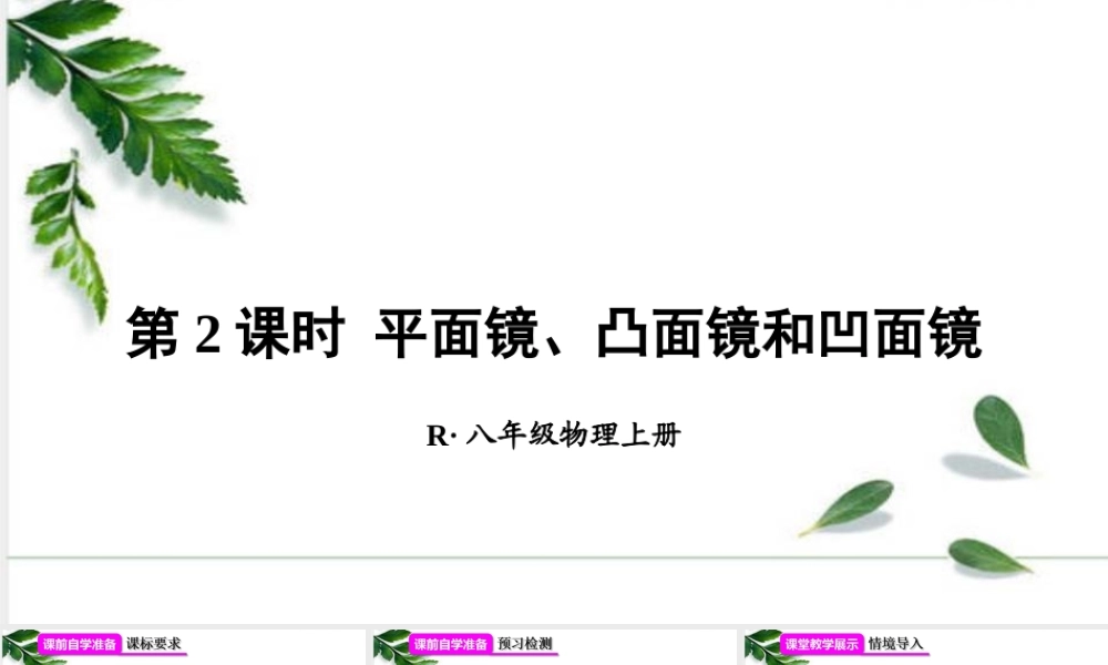 2024人教版八年级物理上册第2课时 平面镜、凸面镜和凹面镜 课件
