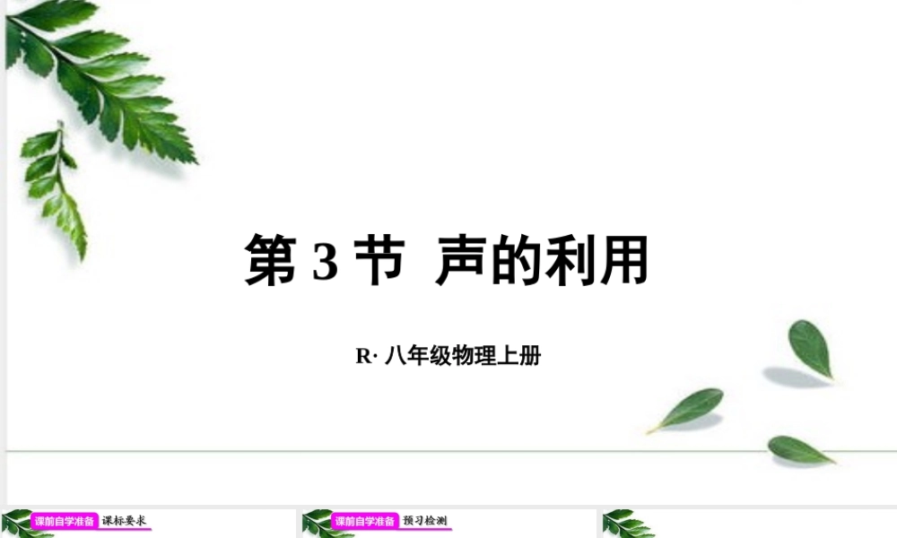 2024人教版八年级物理上册第3节 声的利用 课件