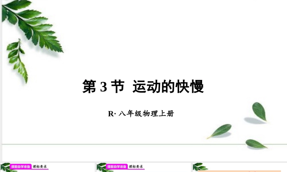 2024人教版八年级物理上册第3节 运动的快慢 课件