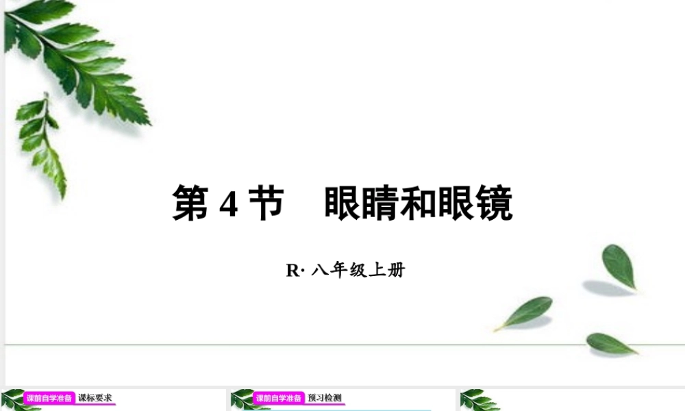 2024人教版八年级物理上册第4节 眼睛和眼镜 课件