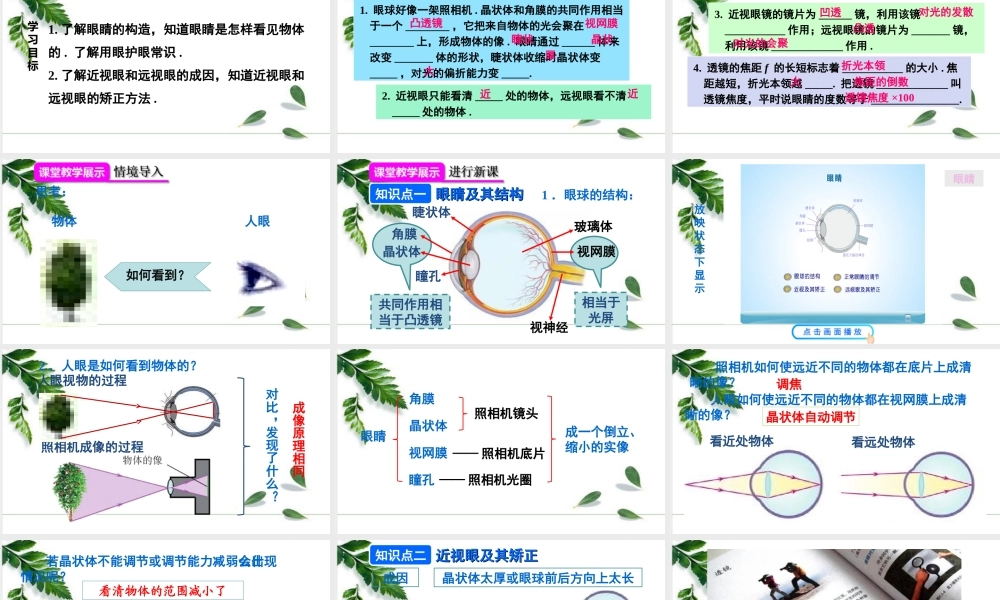 2024人教版八年级物理上册第4节 眼睛和眼镜 课件