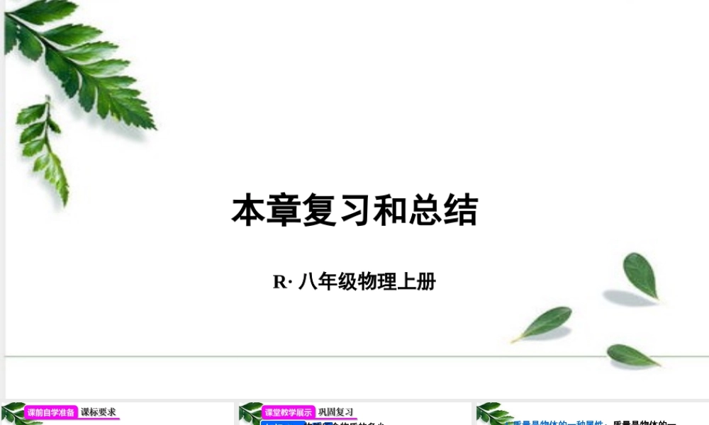 2024人教版八年级物理上册第6章 质量和密度本章复习和总结  课件