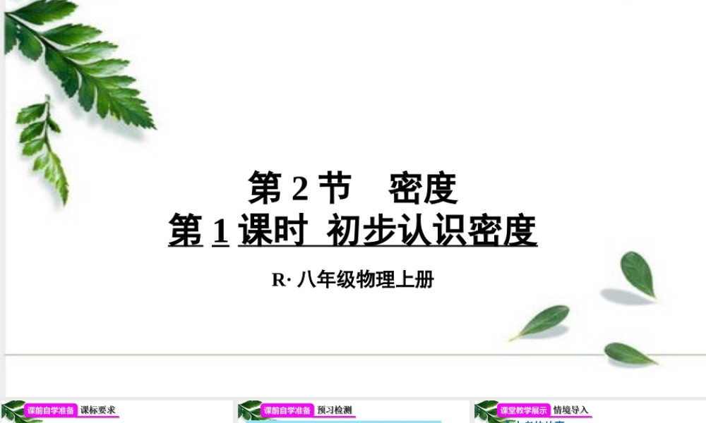 2024人教版八年级物理上册第六章第2节 密度第1课时 初步认识密度 课件