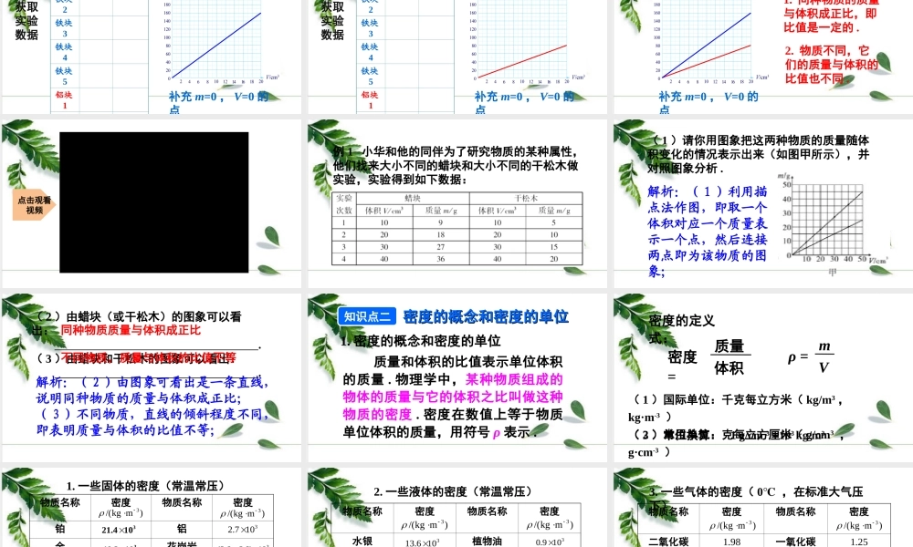 2024人教版八年级物理上册第六章第2节 密度第1课时 初步认识密度 课件
