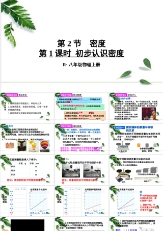 2024人教版八年级物理上册第六章第2节 密度第1课时 初步认识密度 课件