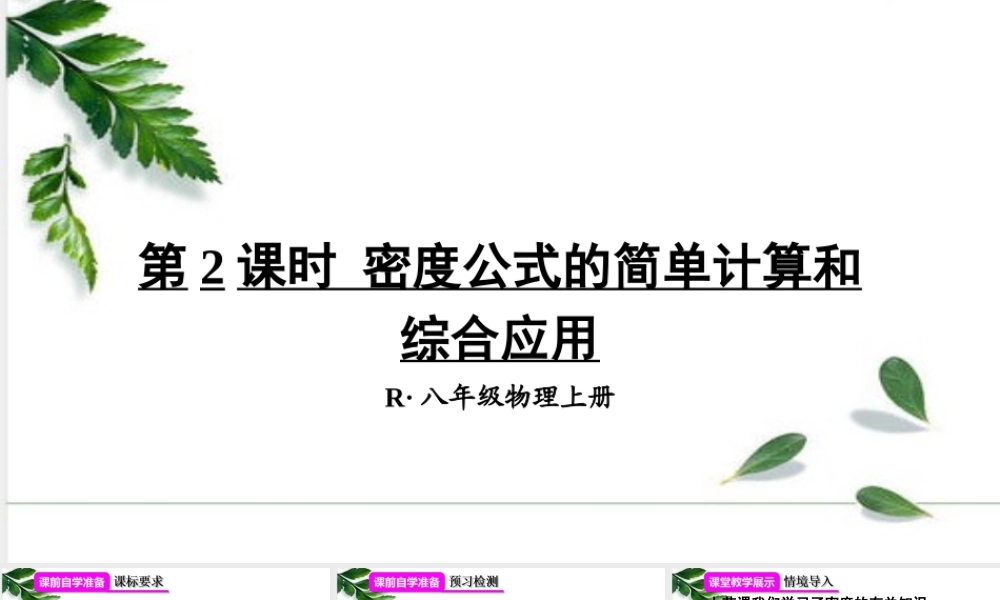 2024人教版八年级物理上册第六章第2课时 密度公式的简单计算和综合应用 课件