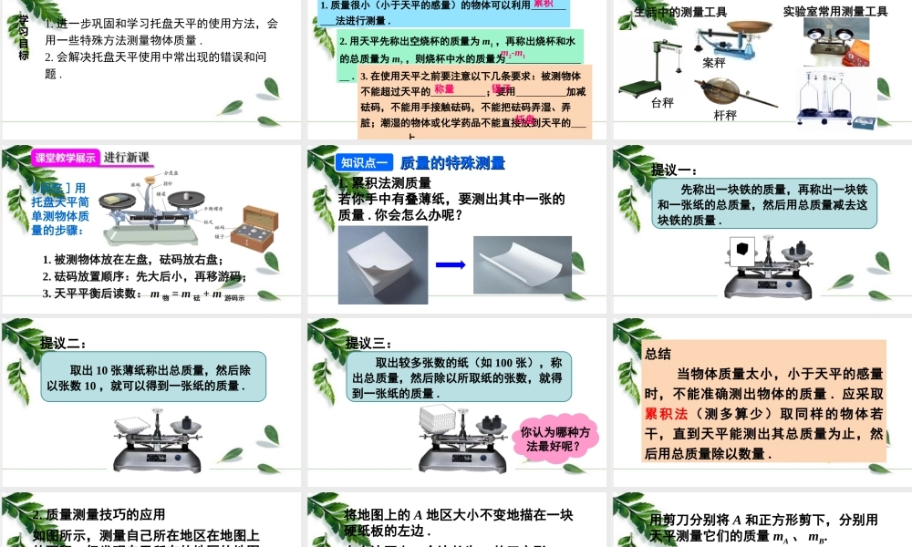 2024人教版八年级物理上册第六章第2课时 质量的测量技巧 课件