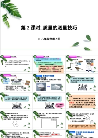 2024人教版八年级物理上册第六章第2课时 质量的测量技巧 课件