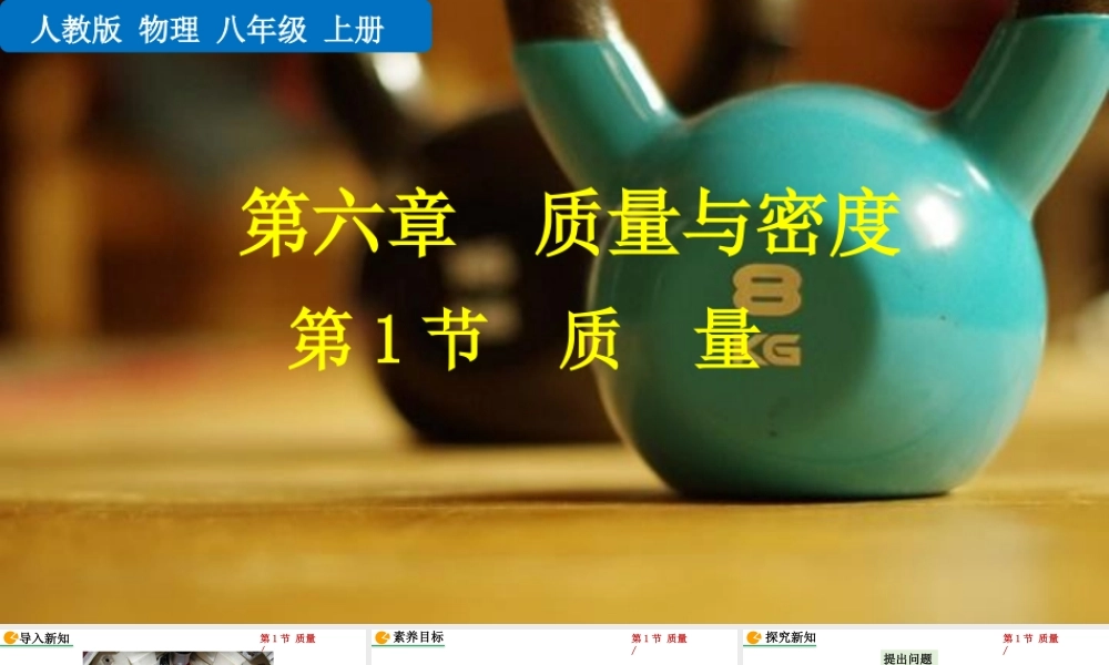 2024人教版八年级物理上册第六章质量与密度第1节  质量 课件