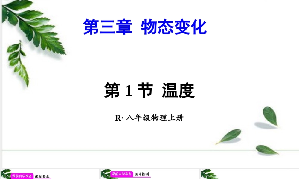 2024人教版八年级物理上册第三章 物态变化第1节 温度 课件