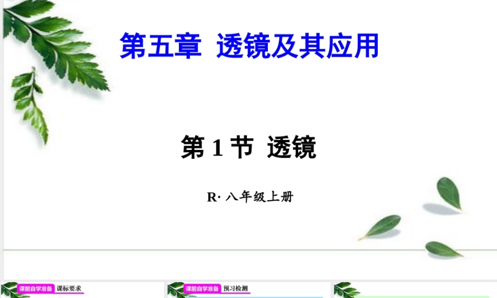 2024人教版八年级物理上册第五章 透镜及其应用第1节 透镜 课件