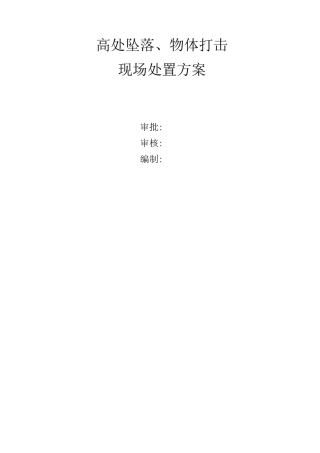 高处坠落、物体打击现场处置方案