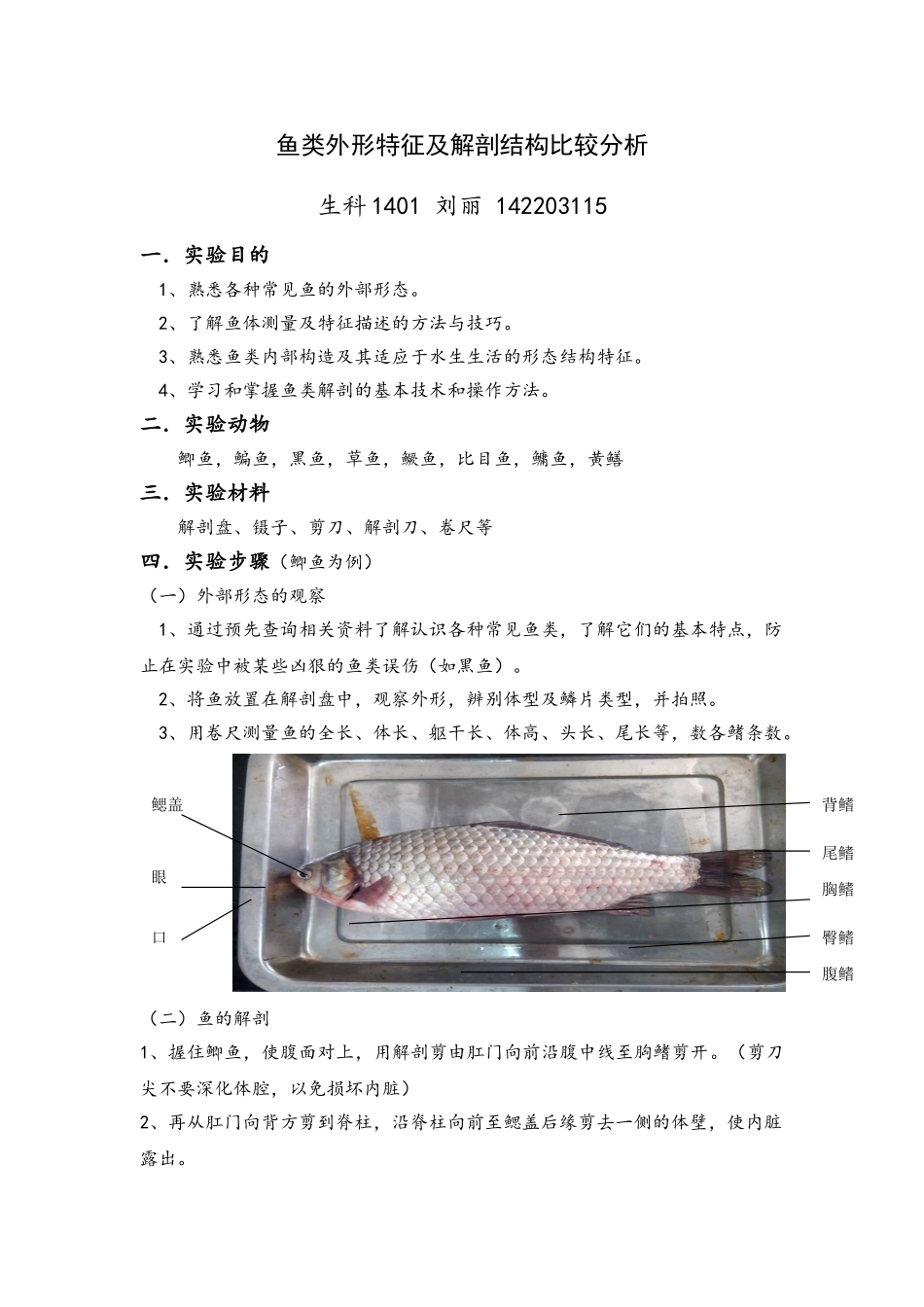 鱼类外形特征及解剖结构比较分析_第1页