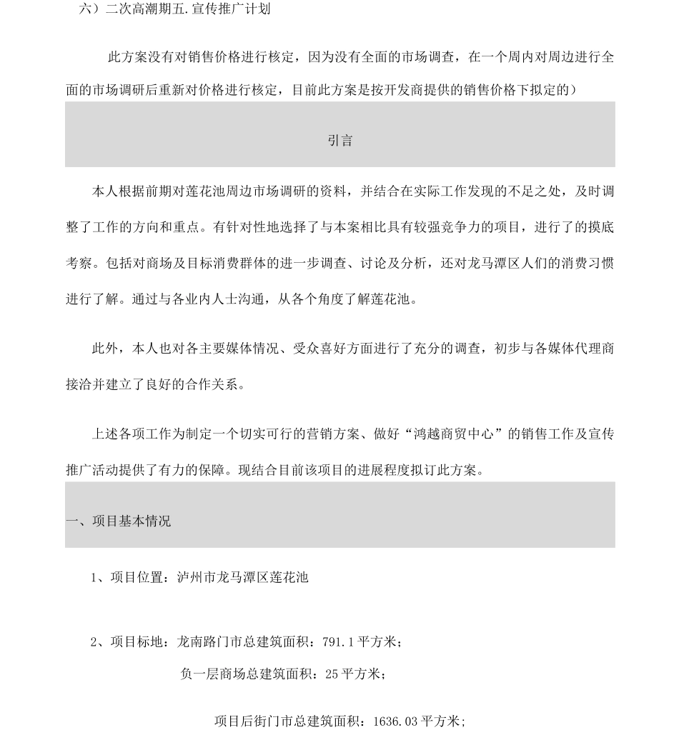 鸿越商贸中心策划方案_第2页