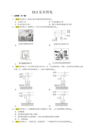 2025秋-人教版九年级物理19.3安全用电练习（附答案）