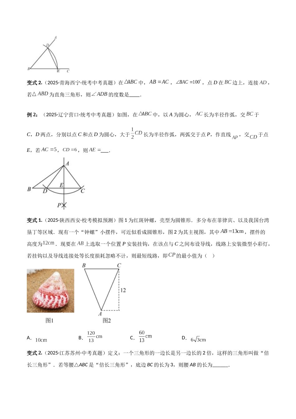 2026中考数学核心考点精讲精炼-考点16特殊三角形（等腰三角形与直角三角形）（学生版+名师详解版）_第3页