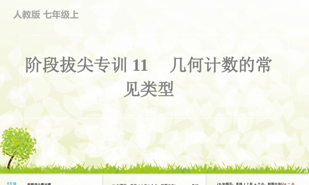【25年秋】七年级数学上册-阶段拔尖专训11　几何计数的常见类型 课件