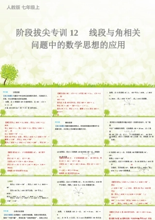 【25年秋】七年级数学上册-阶段拔尖专训12　线段与角相关问题中的数学思想的应用 课件