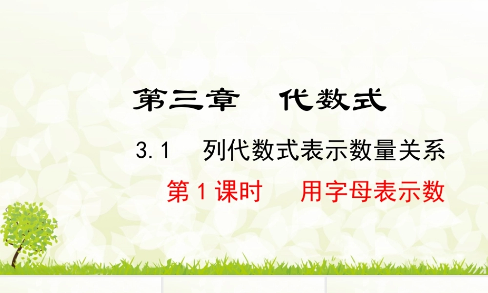 24版-人教七年级上册3.1.1  用字母表示数 素养课件