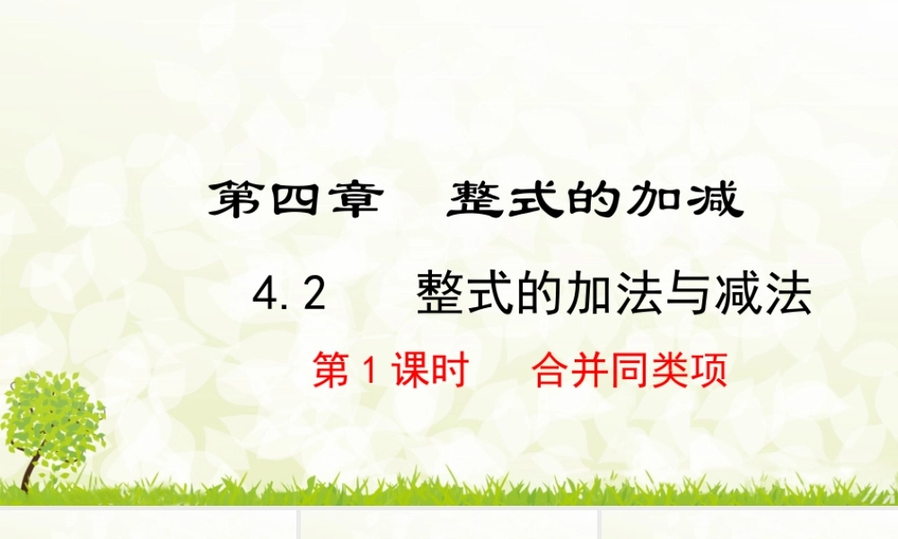 24版-人教七年级上册4.2.1  合并同类项 素养课件