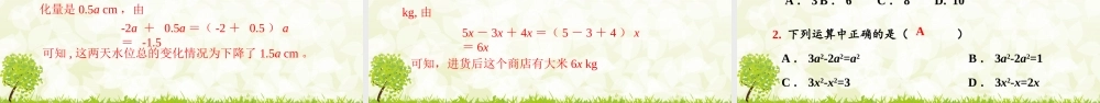 24版-人教七年级上册4.2.1  合并同类项 素养课件