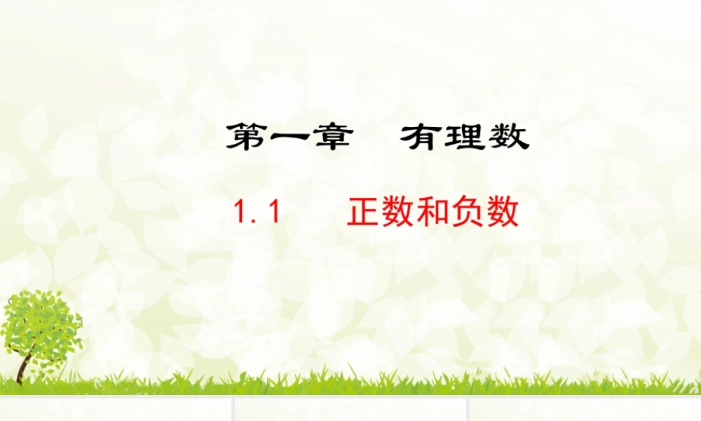 24版人教七年级数学上册基本母题精讲精练1.1 正数和负数 课件