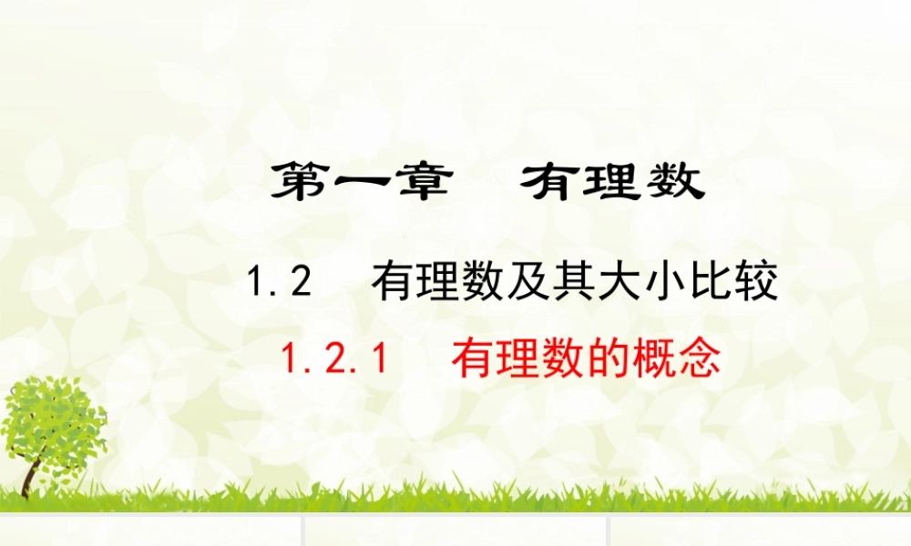 24版人教七年级数学上册基本母题精讲精练1.2.1 有理数的概念 课件