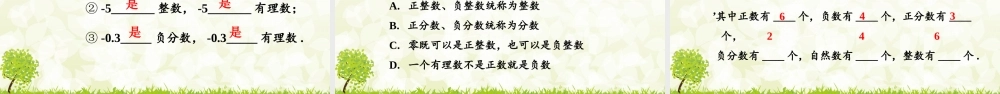 24版人教七年级数学上册基本母题精讲精练1.2.1 有理数的概念 课件