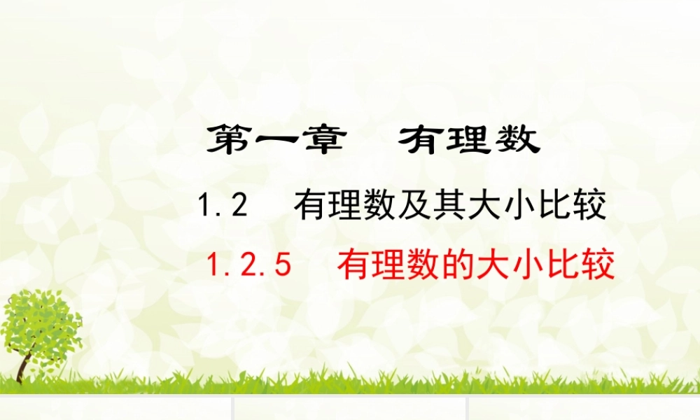 24版人教七年级数学上册基本母题精讲精练1.2.5  有理数的大小比较 课件