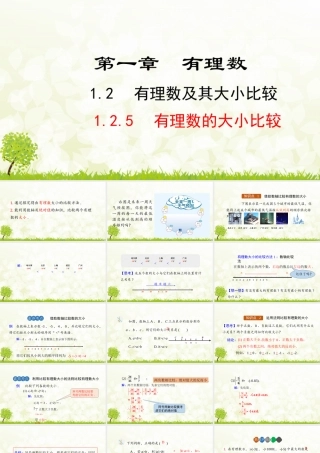 24版人教七年级数学上册基本母题精讲精练1.2.5  有理数的大小比较 课件