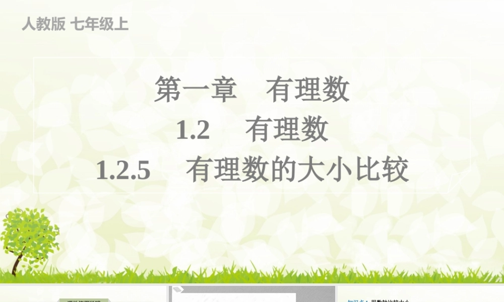 24版人教七年级数学上册基本母题精讲精练1.2.5　有理数的大小比较 课件