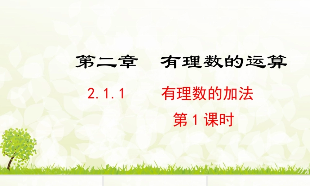 24版人教七年级数学上册基本母题精讲精练2.1.1  有理数的加法  第1课时 课件