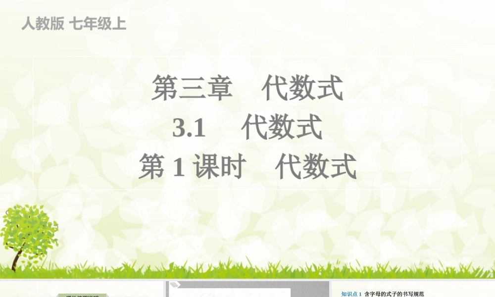 24版人教七年级数学上册基本母题精讲精练3.1　第1课时　代数式 课件