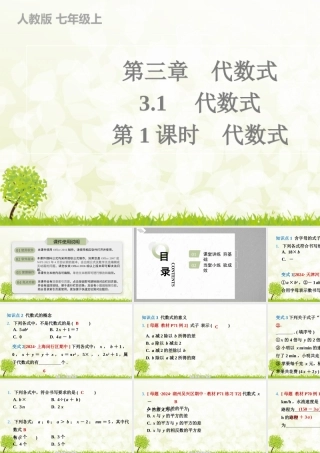 24版人教七年级数学上册基本母题精讲精练3.1　第1课时　代数式 课件