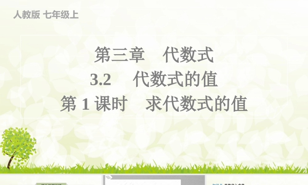 24版人教七年级数学上册基本母题精讲精练3.2　第1课时　求代数式的值 课件