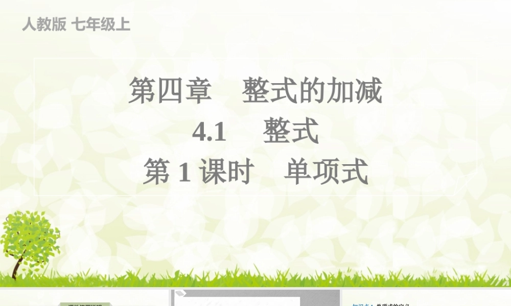 24版人教七年级数学上册基本母题精讲精练4.1　第1课时　单项式 课件