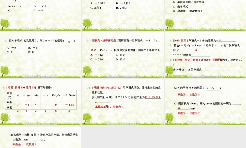 24版人教七年级数学上册基本母题精讲精练4.1　第1课时　单项式 课件
