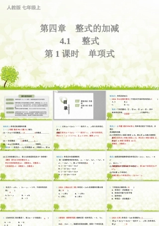 24版人教七年级数学上册基本母题精讲精练4.1　第1课时　单项式 课件