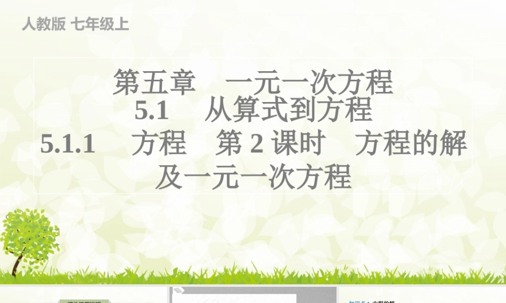 24版人教七年级数学上册基本母题精讲精练5.1.1　方程　第2课时　方程的解及一元一次方程 课件