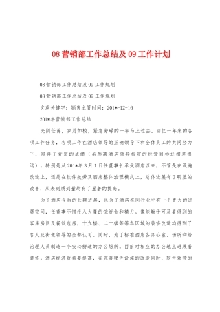 08营销部工作总结及09工作计划