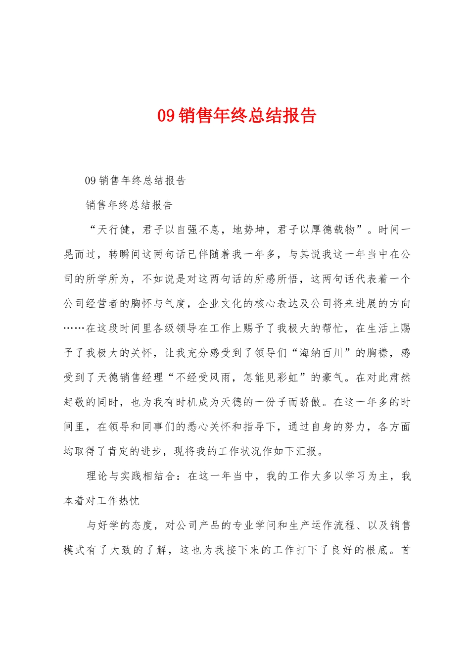 09销售年终总结报告(1)_第1页