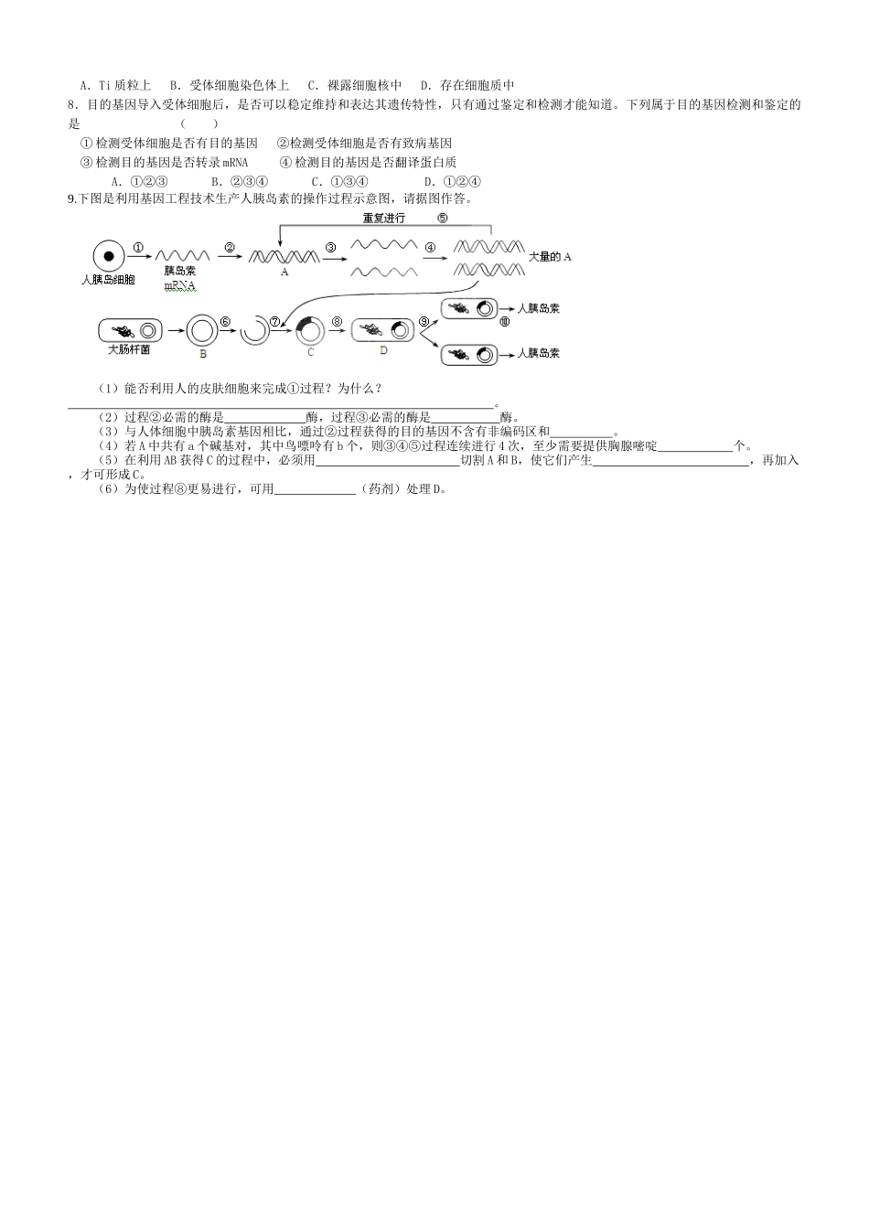 1.2基因工程的基本操作程序导学案_第3页