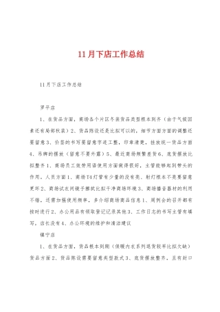 11月下店工作总结