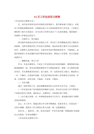 11月工作总结范文销售