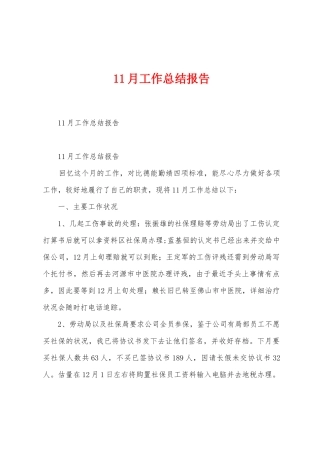 11月工作总结报告