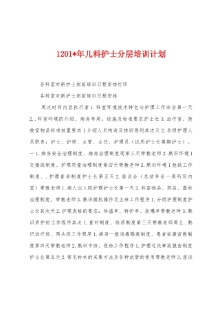 12025年儿科护士分层培训计划
