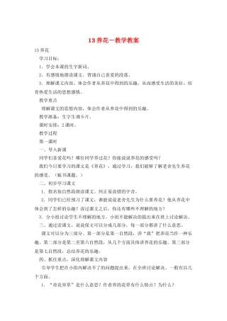 13养花-教学教案