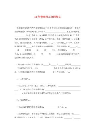 13年劳动用工合同范文