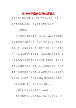 16年电子商务实习总结范文