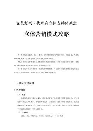 1、立体营销模式攻略